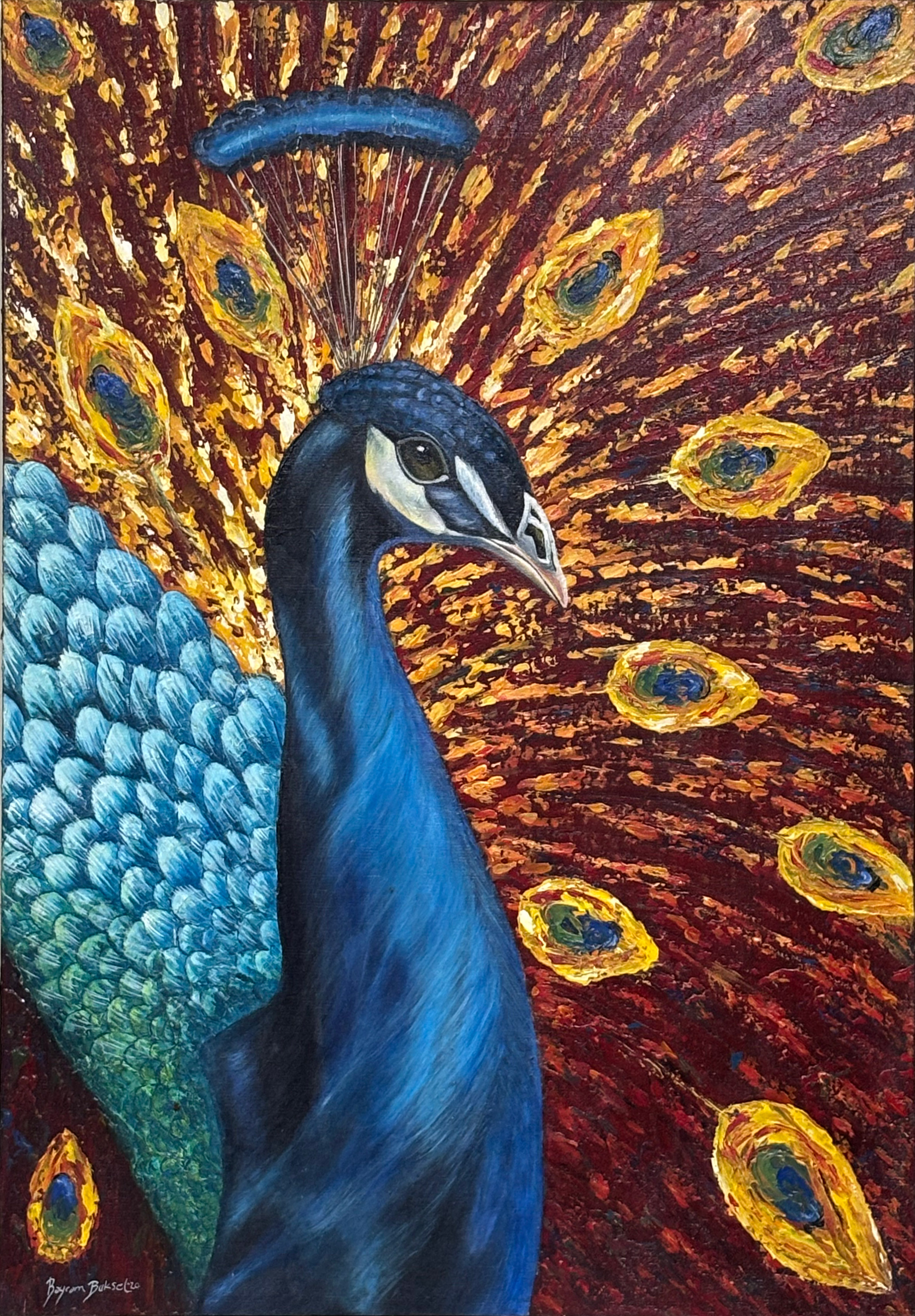 Peacock: The Quiet Storm